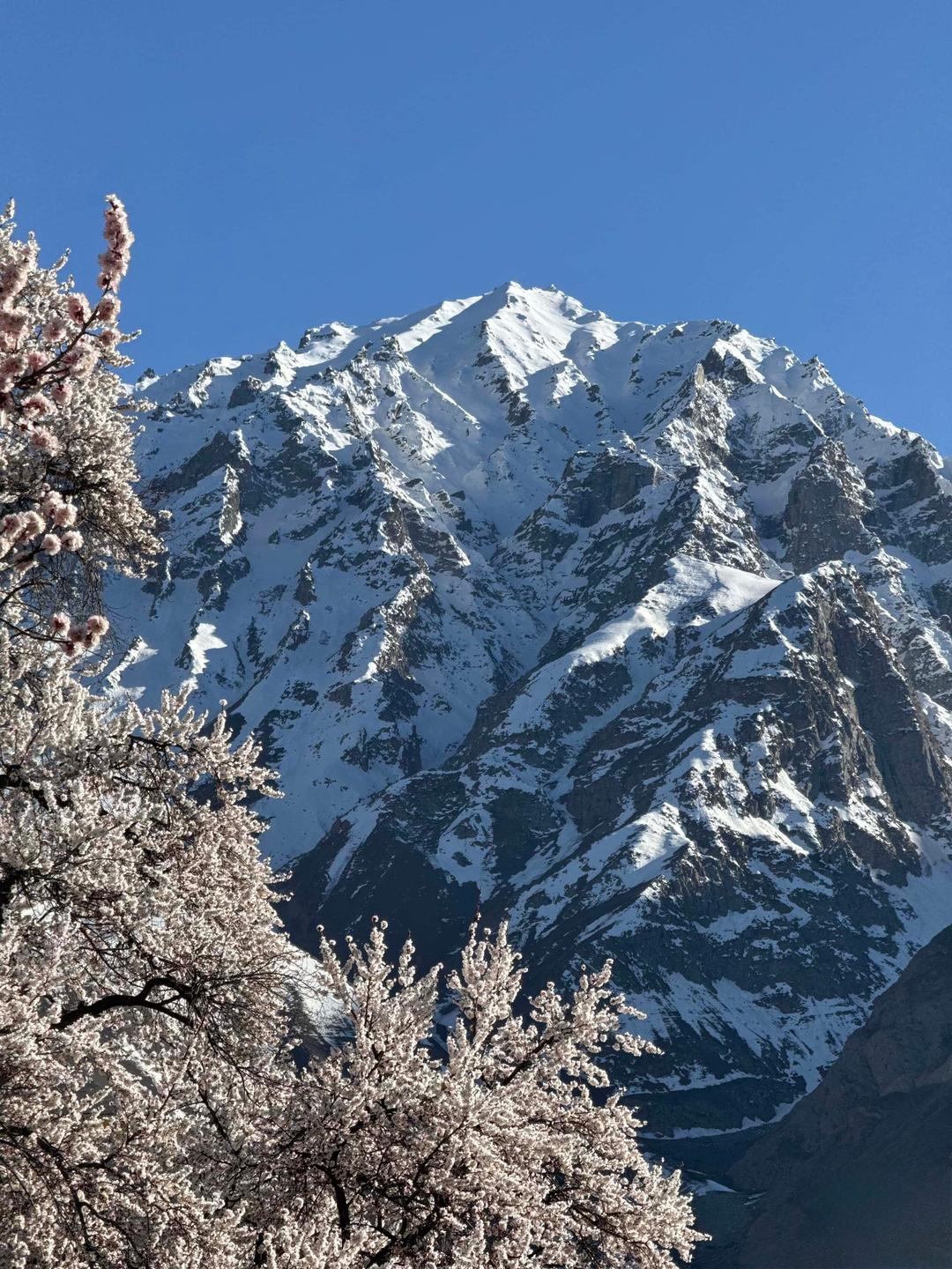 Journey Through the Heart of Karakoram